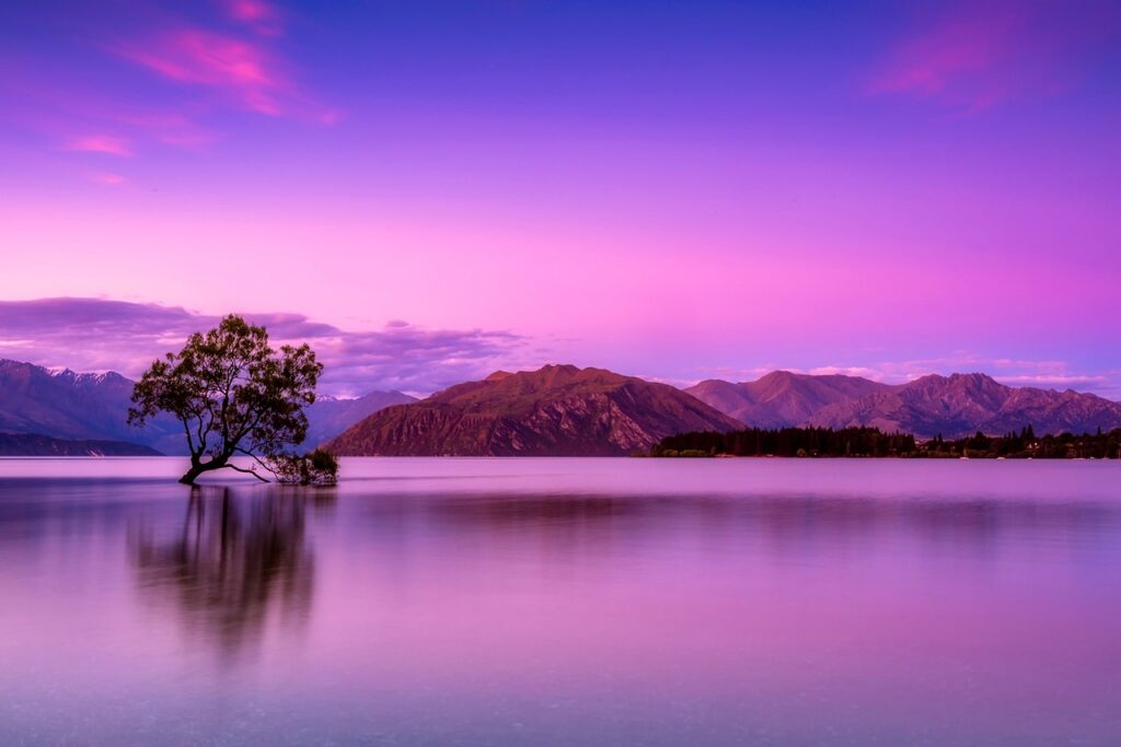 Solitary tree in calm lake with mountain range and pink-purple sky at sunset.